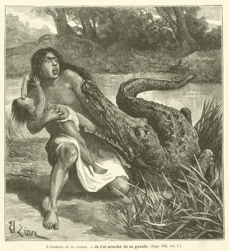 Kızılderili ve Kayman (gravür) by French School