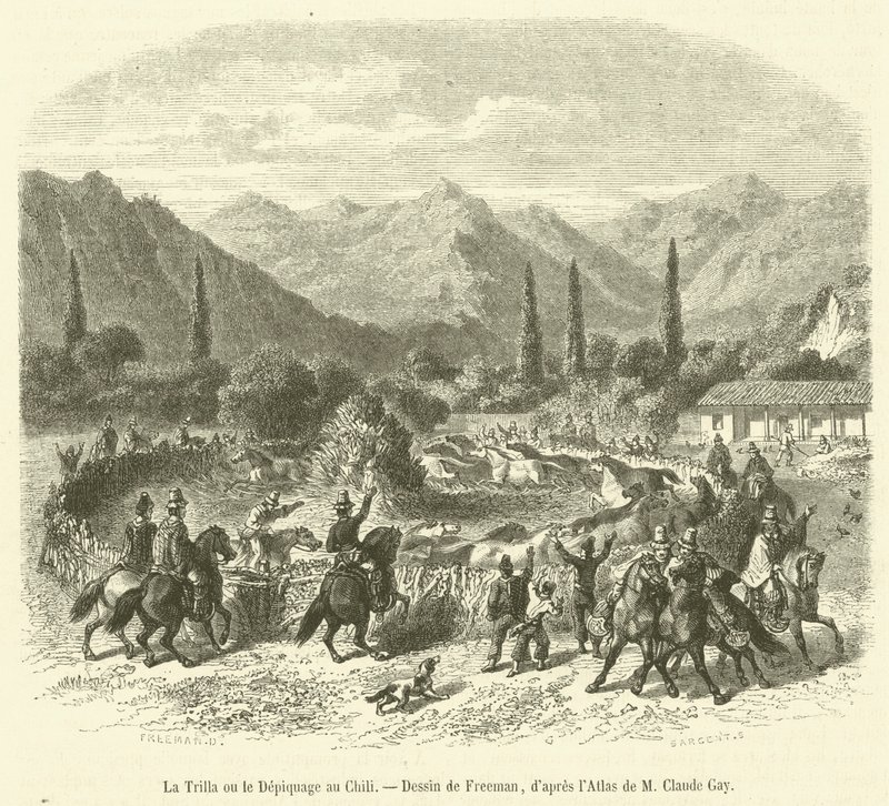 Şili