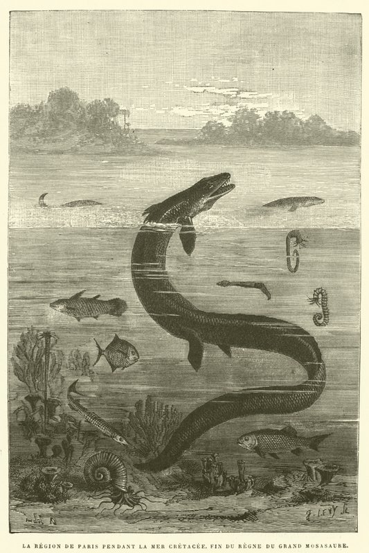 Kretase Denizi boyunca Paris bölgesi, büyük mosasaur saltanatının sonu (gravür) by French School