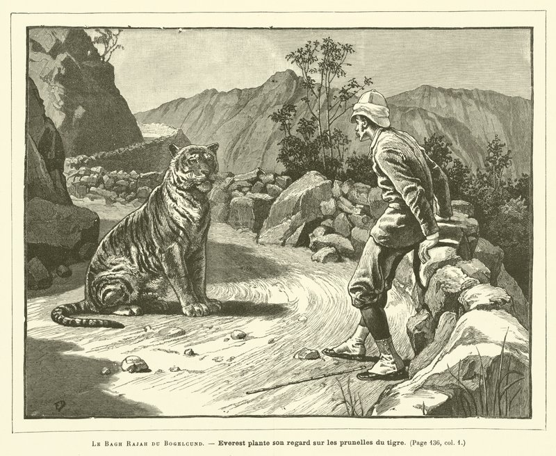 Le Bagh Rajah Du Bogelcund (gravür) by French School