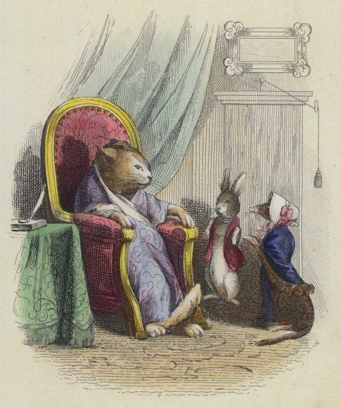 Kedi Gelincik ve Küçük Tavşan by French School