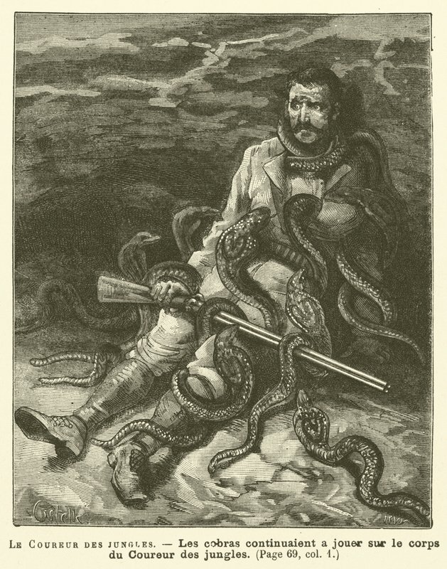 Le Coureur Des Jungles (gravür) by French School
