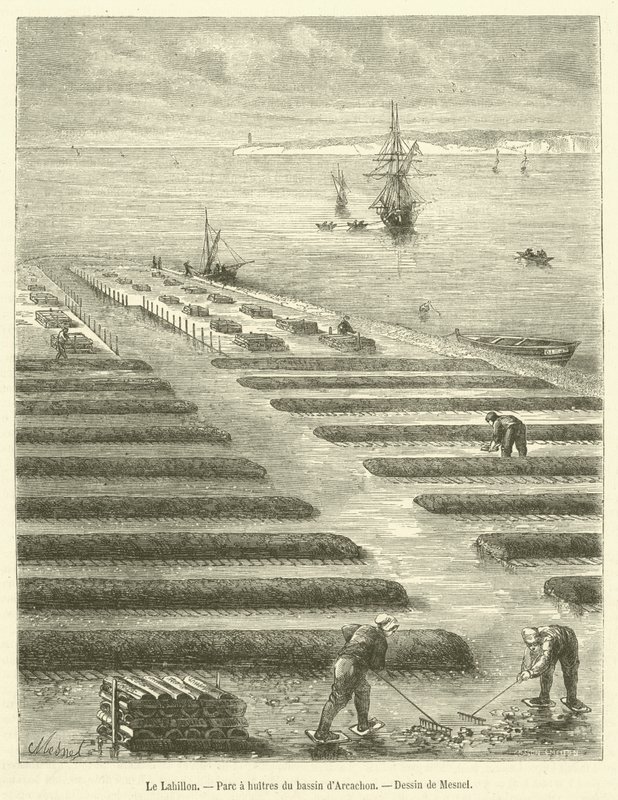 Le Lahillon, Arcachon havzasındaki Oyster parkı (gravür) by French School