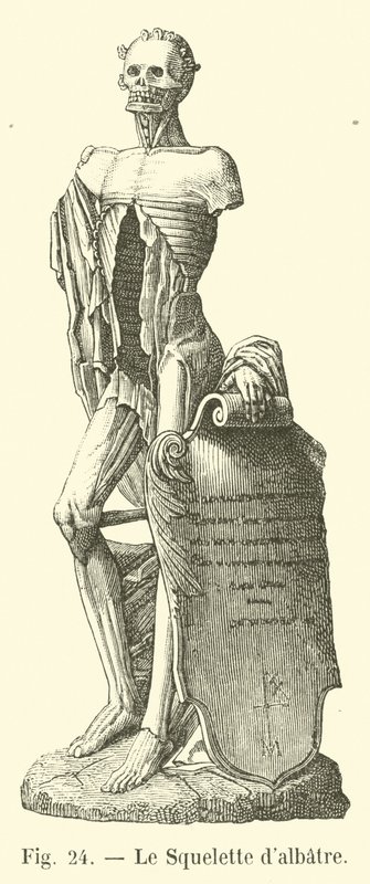 Dalbatian İskeleti by French School