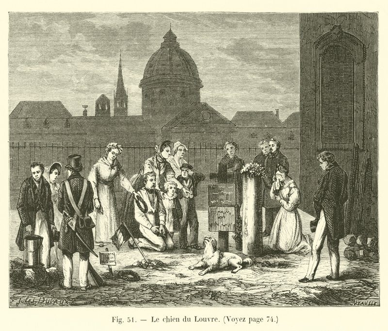 Louvre köpeği by French School