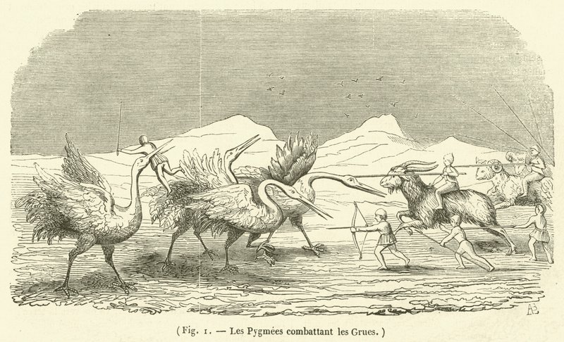 Turnalarla Savaşan Pigmeler (gravür) by French School