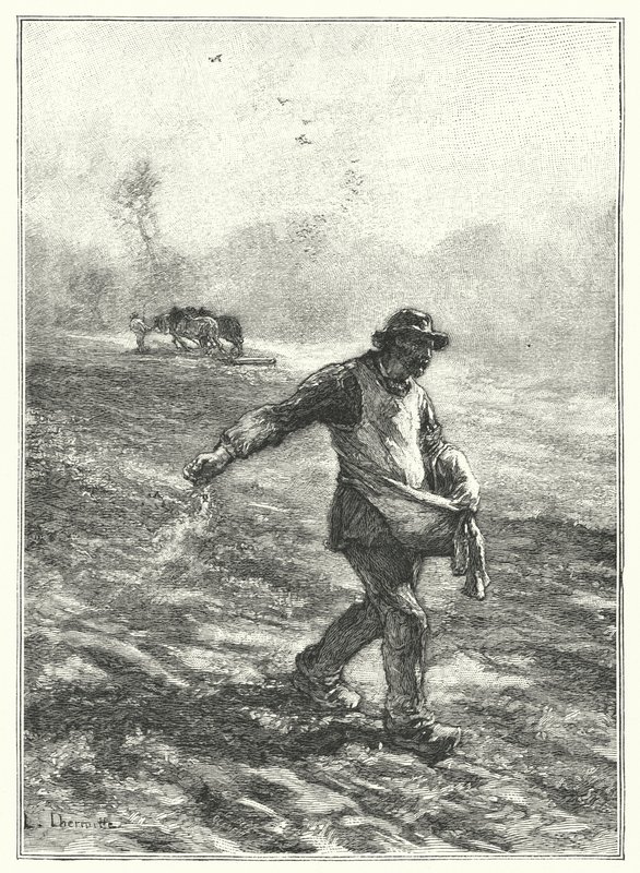Tohumlar (gravür) by French School