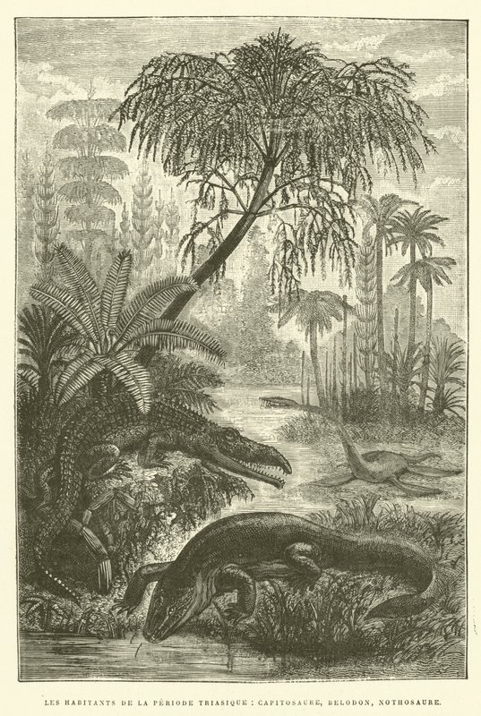 Triyas dönemi sakinleri, capitosaurus, belodon, nothosaurus (gravür) by French School