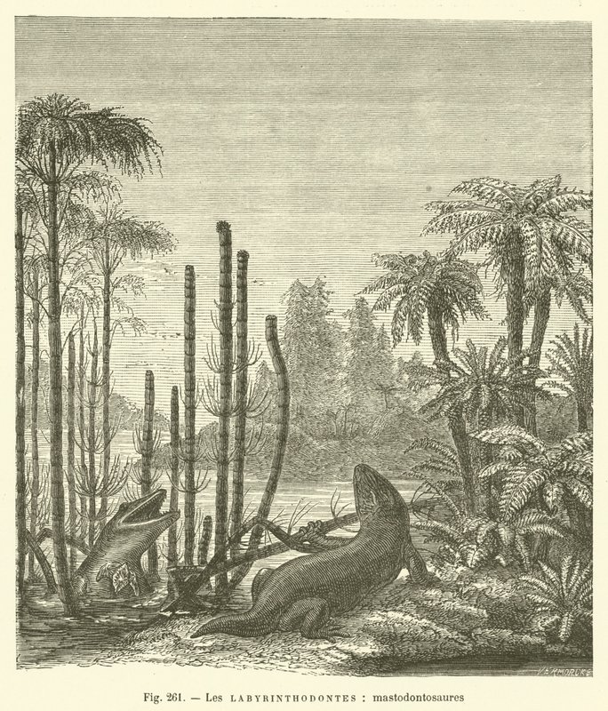 Les labyrinthodontes, mastodontosaures (gravür) by French School