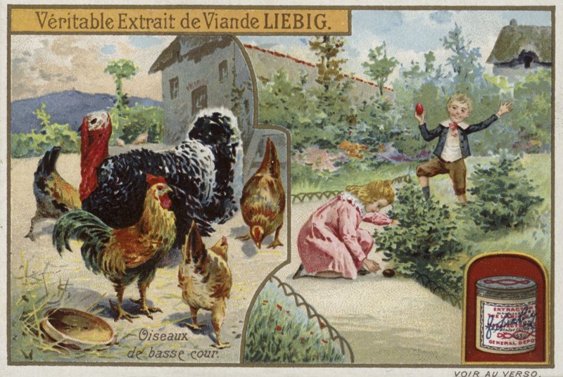 Kümes hayvanları içeren Liebig kartı by French School