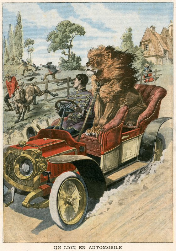 Bir otomobilde aslan by French School