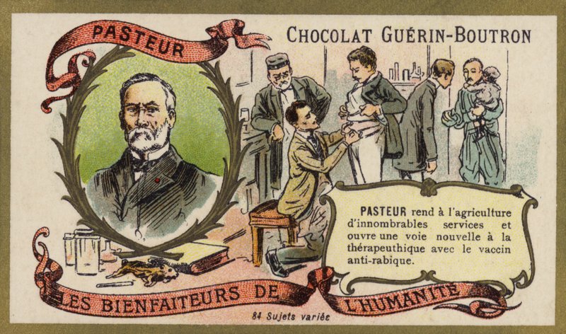 Louis Pasteur, Fransız kimyager ve mikrobiyolog (chromolitho) by French School
