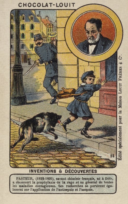 Louis Pasteur, Fransız kimyager ve mikrobiyolog by French School