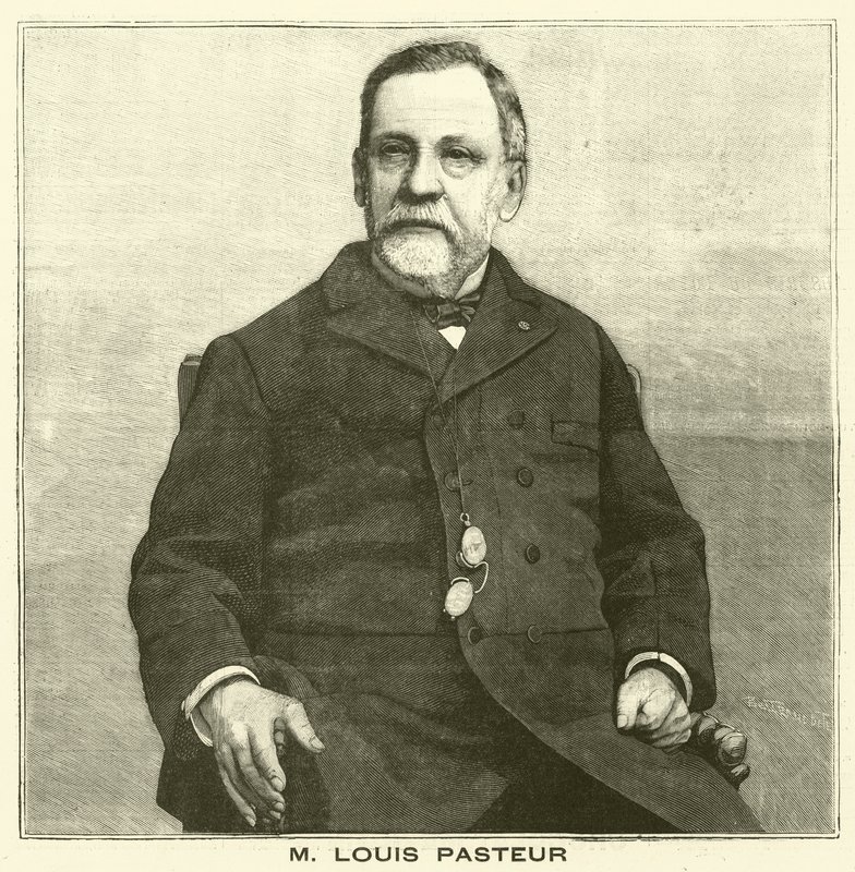 Louis Pasteur, Fransız mikrobiyolog (gravür) by French School