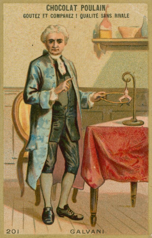 Luigi Galvani by French School