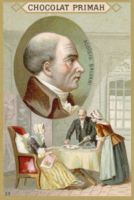 Luigi Galvani, İtalyan doktor ve fizikçi by French School