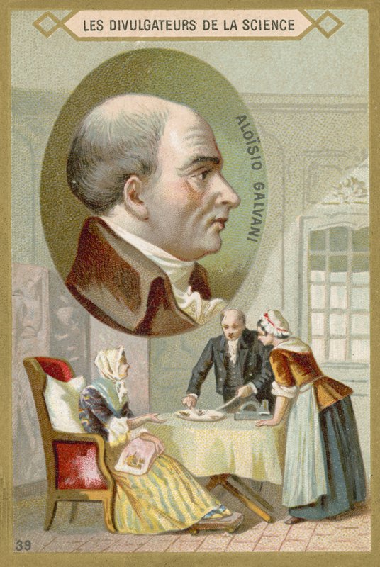 Luigi Galvani, İtalyan doktor ve fizikçi by French School