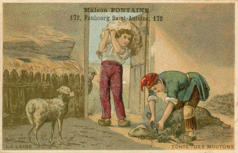 Maison Fontaine ticaret kartı, koyun kırkma by French School