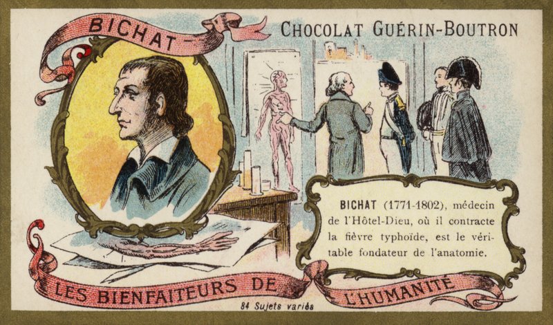 Marie Francois Xavier Bichat, Fransız fizyolog ve anatomist (chromolitho) by French School