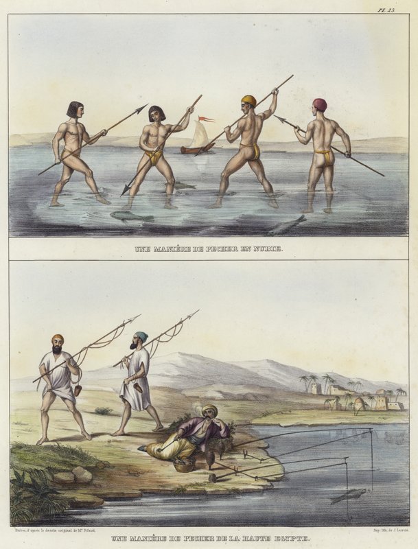 Nubia ve Mısır