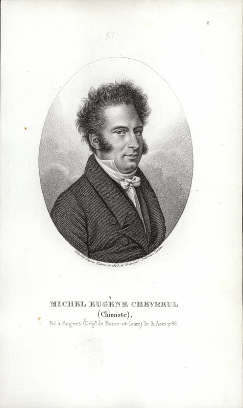 Michel Eugene Chevreul by French School