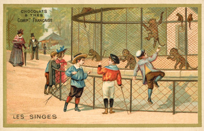 Maymunlar (chromolitho) by French School