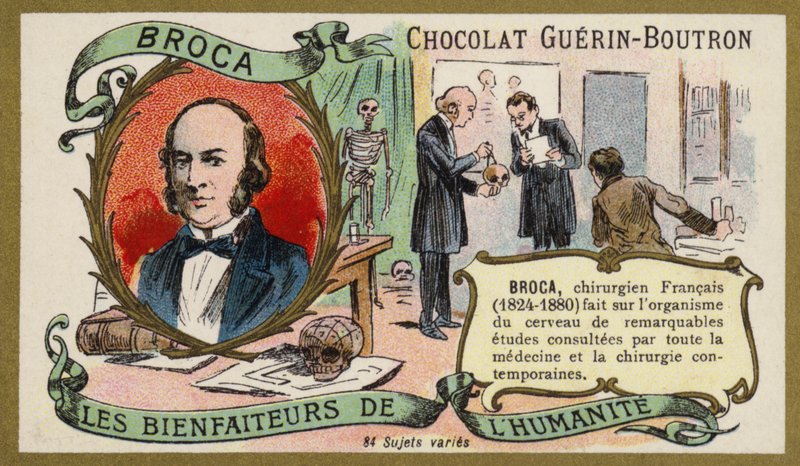 Paul Broca, Fransız doktor, anatomist ve antropolog (chromolitho) by French School