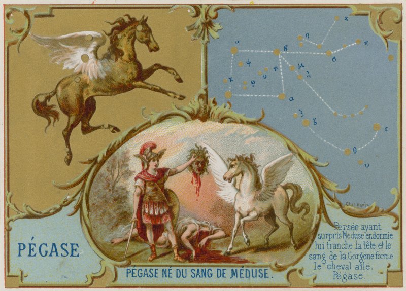 Pegasus by French School
