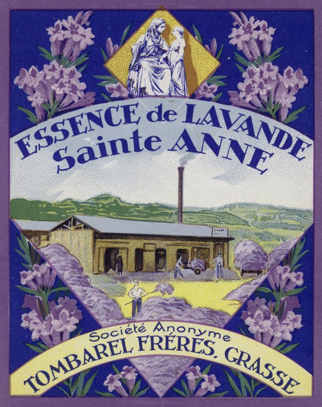 Parfüm Etiketi, Lavanta Özü by French School