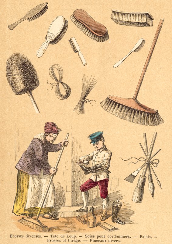Domuz (renkli gravür) by French School