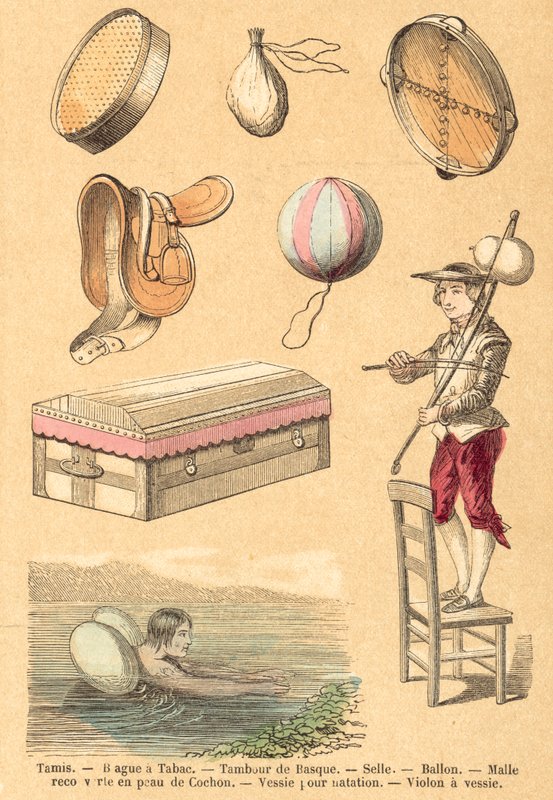 Domuz (renkli gravür) by French School