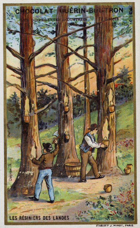 Landes, Fransa