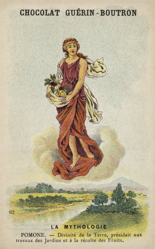 Pomon veya Pomona by French School