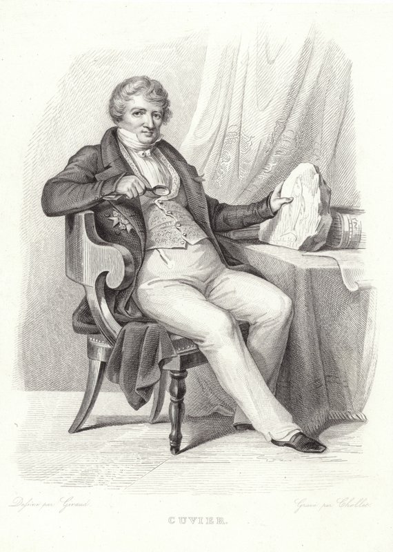George Cuvier'in Portresi by French School