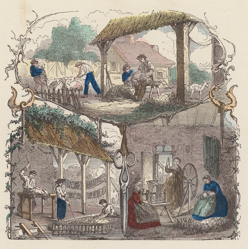Yün üretimi (renkli gravür) by French School