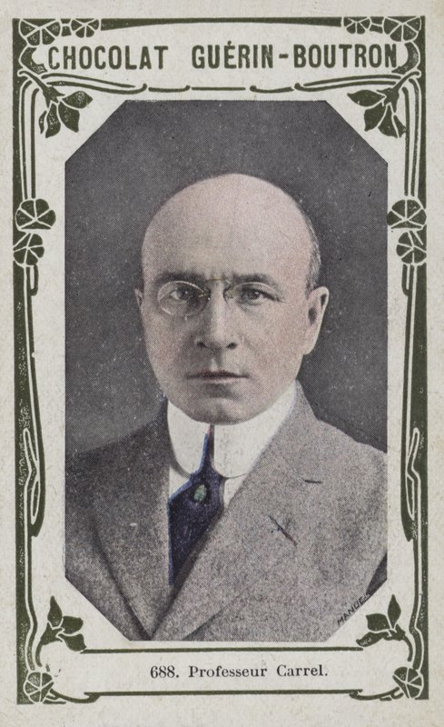 Profesör Carrel (renkli fotoğraf) by French School