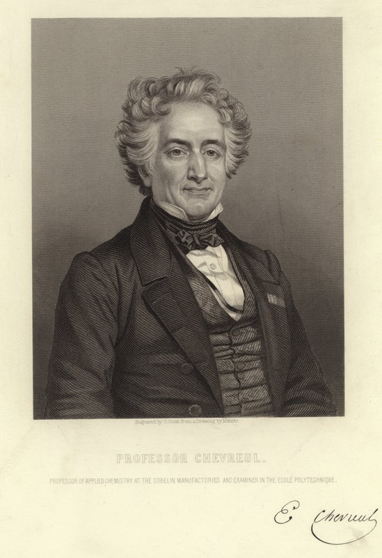 Profesör Chevreul by French School