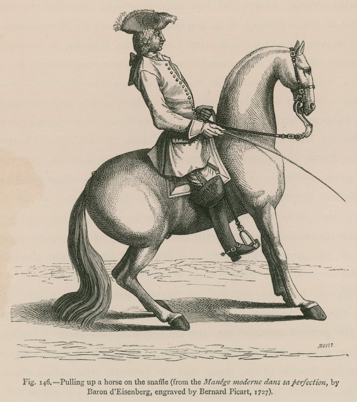 Snaffle