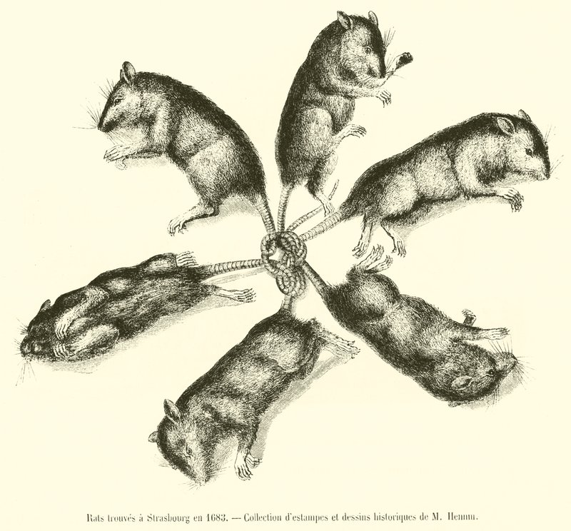 1683