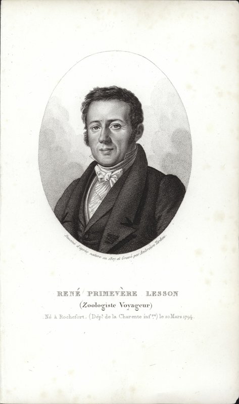 René Primevère Dersi by French School