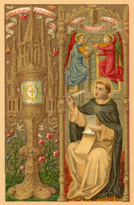ST Thomas Aquinas