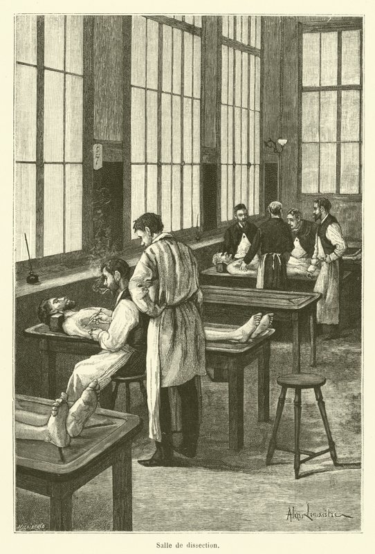 Diseksiyon (oyma) odası by French School