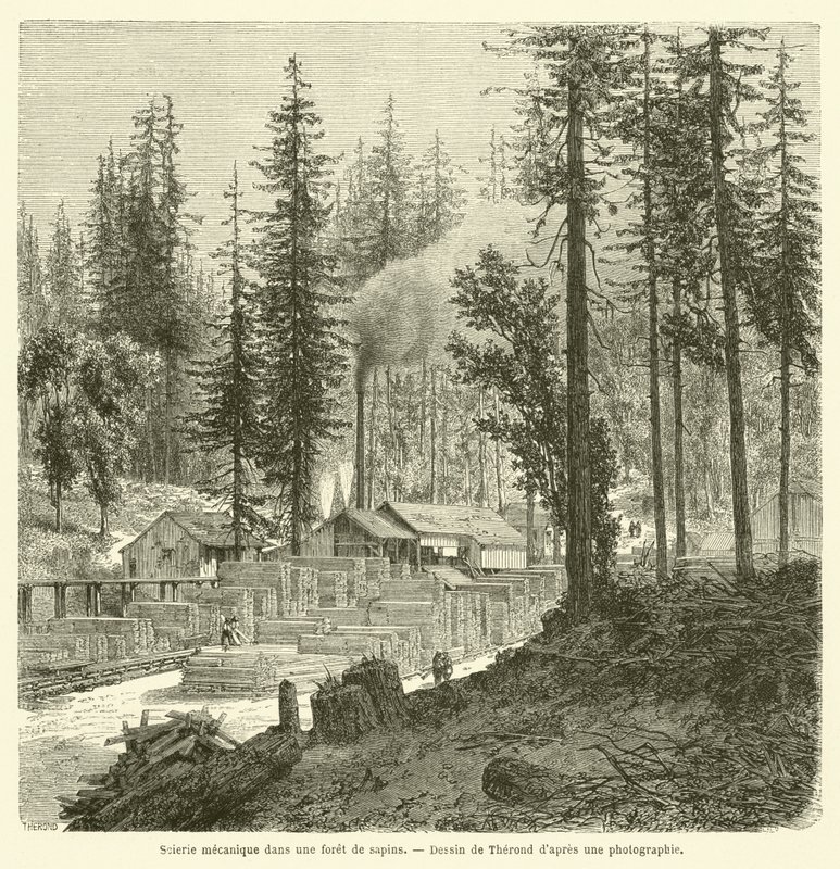 Bir köknar ormanında mekanik kereste fabrikası (gravür) by French School