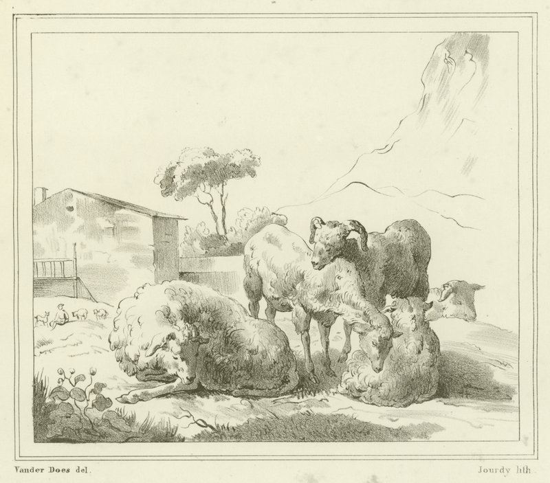 Bir manzara koyun by French School