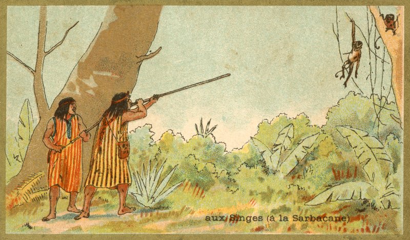 Güney Amerika Kızılderilileri, üfleme borularıyla (chromolitho) maymun avlıyorlar. by French School