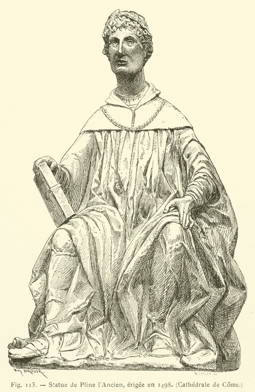 1498 yılında dikilmiş Yaşlı Pliny Heykeli, Come Katedrali (gravür) by French School