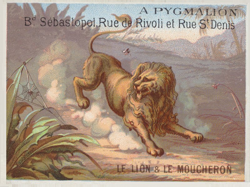 Aslan ve Sivrisinek by French School