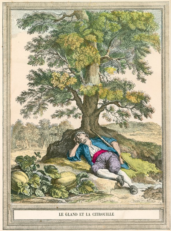 meşe palamudu ve kabak by French School