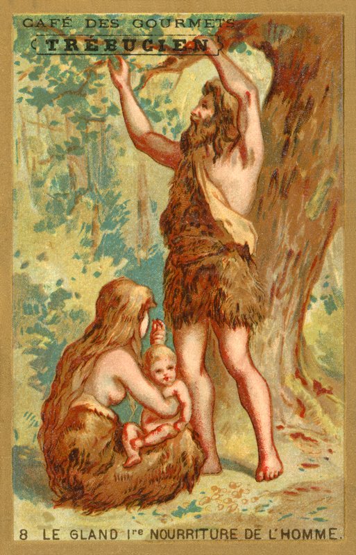 Meşe palamudu, erkeğin ilk yemeği by French School