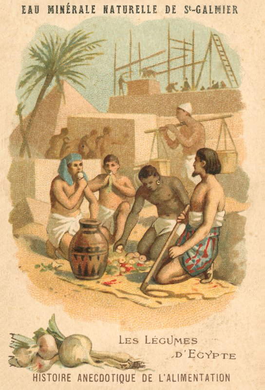 Mısır sebzeleri (chromolitho) by French School